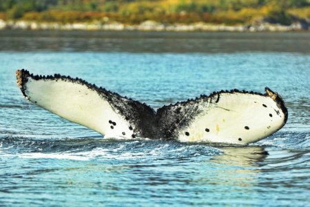 DSC_7852.JPG DSC_7852.JPG