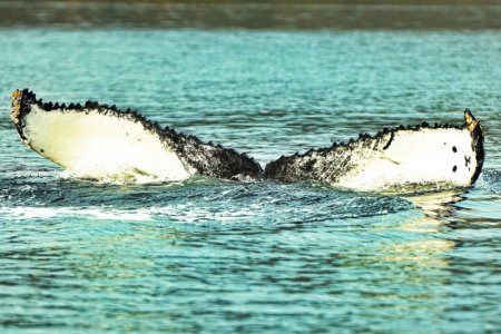 DSC_7853.JPG DSC_7853.JPG