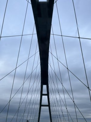 IMG_0850.jpeg