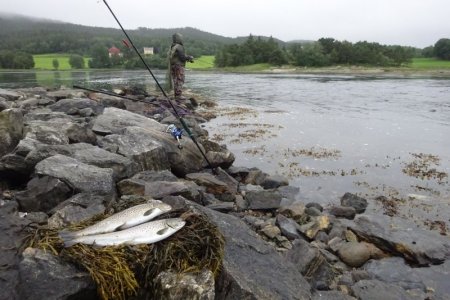 DSC02646.JPG DSC02646.JPG