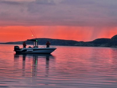 20240526_231102.jpg 20240526_231102.jpg