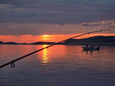 20240526_223544.jpg 20240526_223544.jpg