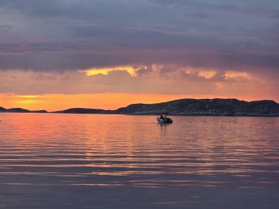 20240526_222251.jpg 20240526_222251.jpg