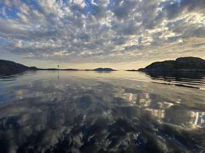 20240523_201826.jpg 20240523_201826.jpg