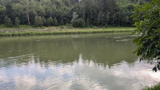 1000008235.jpg 1000008235.jpg