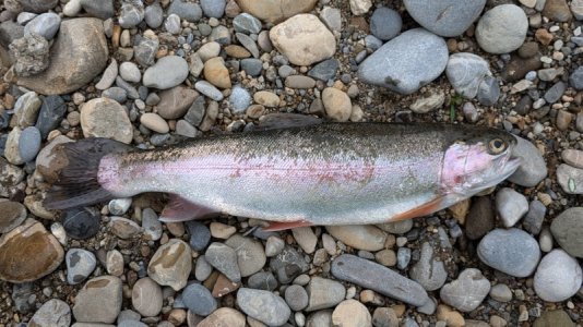 1000008251.jpg 1000008251.jpg