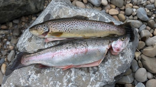 1000008254.jpg 1000008254.jpg