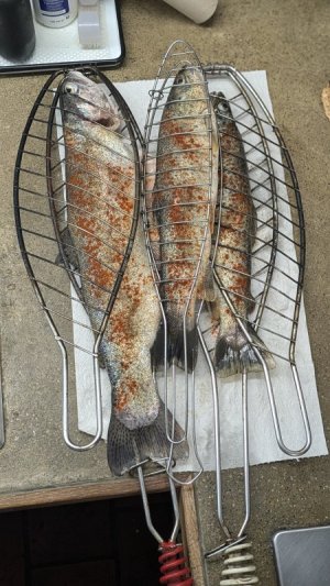 1000008275.jpg 1000008275.jpg