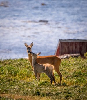 20240720-DSC07770 (1).jpg