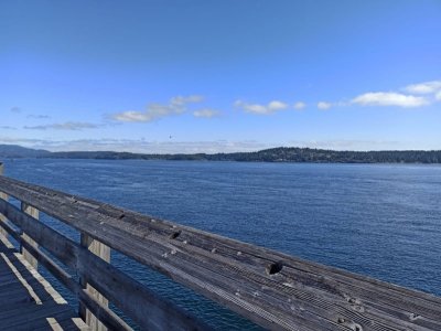 WhatsApp Image 2024-07-20 at 19.59.59.jpeg