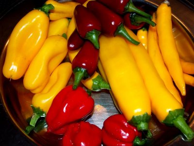 Chili 0817.2 001.JPG