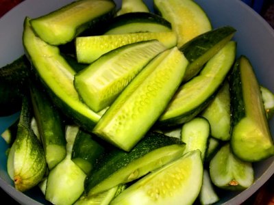 Chili 0817.2 002.JPG