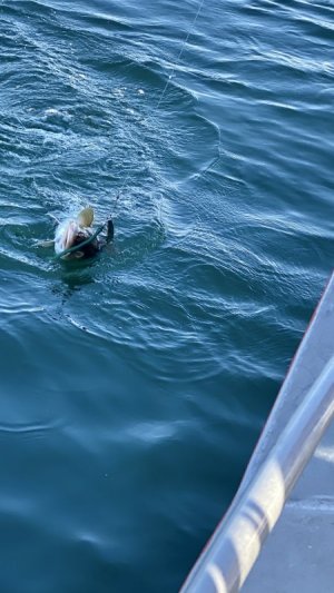 IMG_9631.JPG