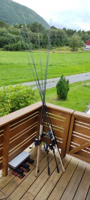 IMG_20240728_193321.jpg IMG_20240728_193321.jpg