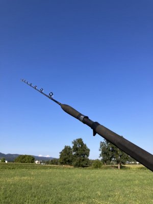 IMG_5822.jpeg