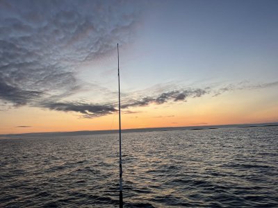 IMG_1166.jpeg