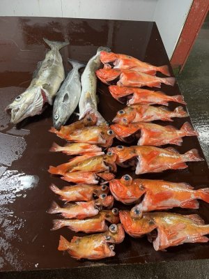 IMG_1169.jpeg