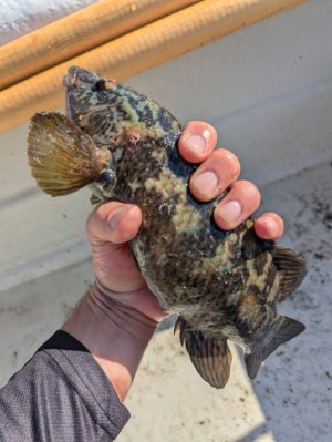 PXL_20240802_075157712.jpg PXL_20240802_075157712.jpg