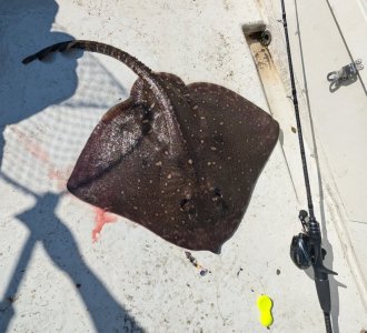 PXL_20240802_100405874.MP.jpg PXL_20240802_100405874.MP.jpg