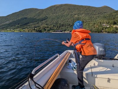 PXL_20240802_155816101.MP.jpg PXL_20240802_155816101.MP.jpg