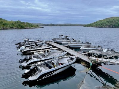 IMG-20240802-WA0016.jpg IMG-20240802-WA0016.jpg