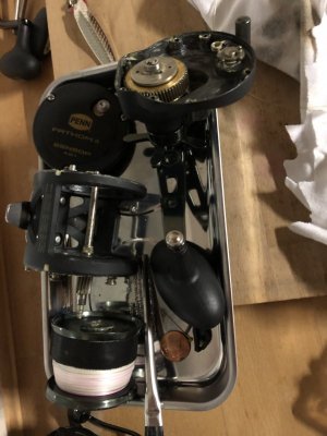 IMG_3730.jpeg IMG_3730.jpeg