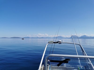 IMG_20240805_131645.jpg