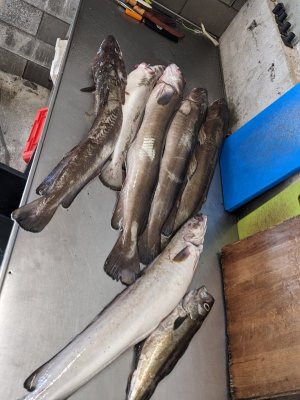 PXL_20240731_161131646.jpg PXL_20240731_161131646.jpg