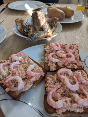 PXL_20240802_164408592.jpg PXL_20240802_164408592.jpg