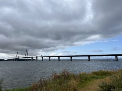 IMG_1209.jpeg