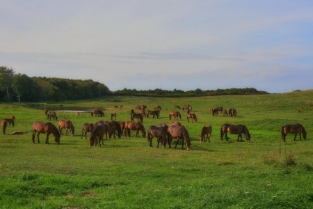 DSC_0032.jpg