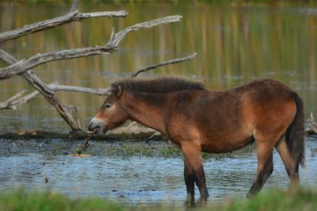 DSC_0037.jpg