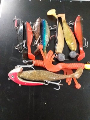 20240807_095152.jpg