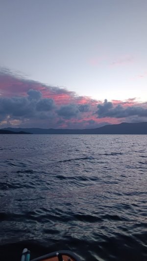 20240808_220151.jpg