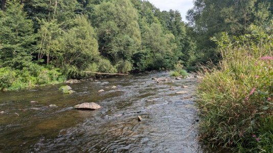 1000009380.jpg 1000009380.jpg