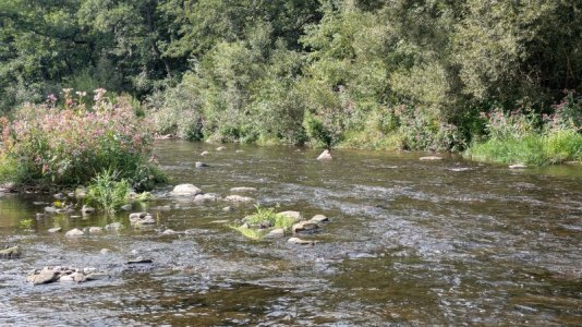 1000009376.jpg 1000009376.jpg