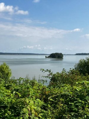 IMG-20240810-WA0009.jpg IMG-20240810-WA0009.jpg