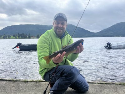 IMG_7770.jpeg IMG_7770.jpeg