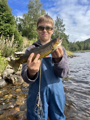 IMG_7782.jpeg IMG_7782.jpeg