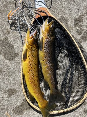 IMG_7793.jpeg IMG_7793.jpeg