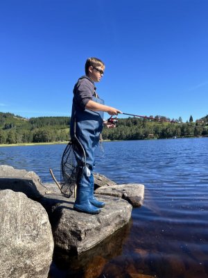 IMG_7795.jpeg IMG_7795.jpeg