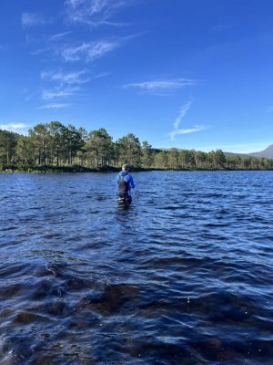 IMG_7806.jpeg IMG_7806.jpeg