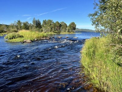 IMG_7814.jpeg IMG_7814.jpeg