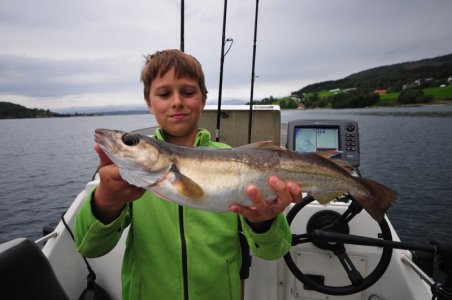 DSC_9662.jpeg DSC_9662.jpeg