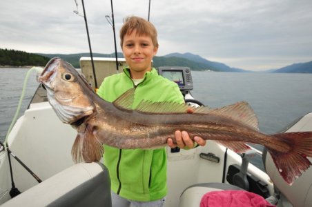 DSC_9660.jpeg DSC_9660.jpeg