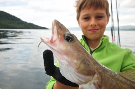 DSC_9653.jpeg DSC_9653.jpeg