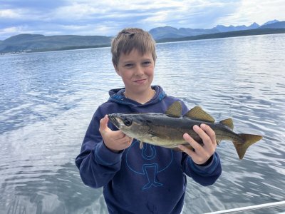 IMG_7840.jpeg IMG_7840.jpeg