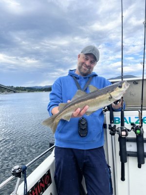 IMG_7835.jpeg IMG_7835.jpeg