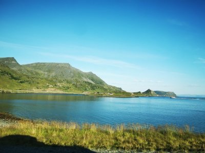 IMG_20240814_174330.jpg IMG_20240814_174330.jpg