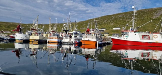 1723790225593.jpeg 1723790225593.jpeg